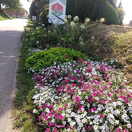 Bed & Breakfast D'hotes Sabine Billmann Hunspach