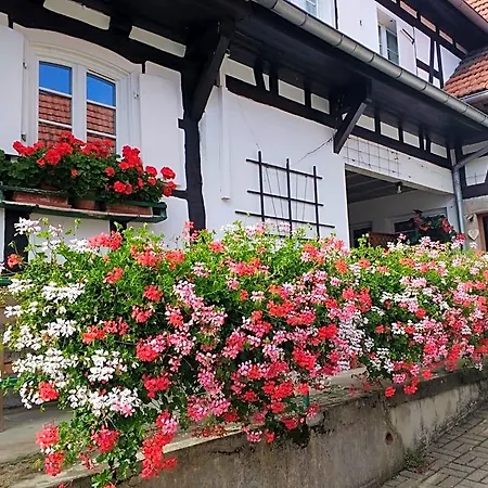 D'hotes Sabine Billmann Bed & Breakfast Hunspach