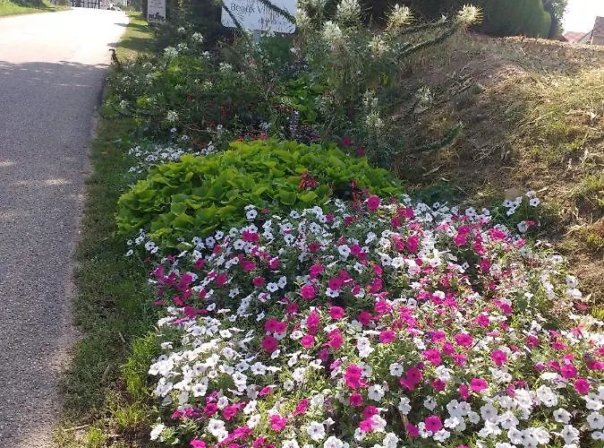 D'hotes Sabine Billmann Nocleg ze śniadaniem 3*